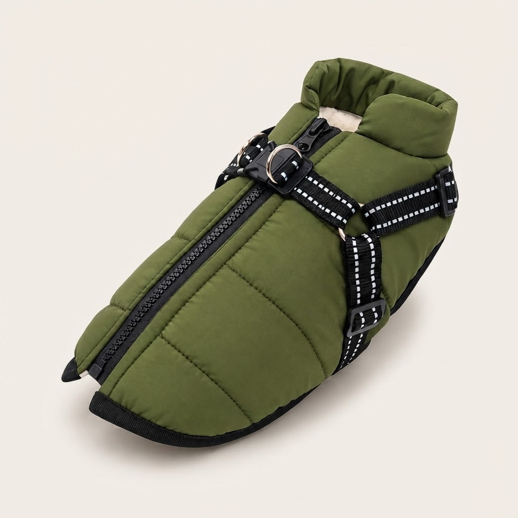 Veste d'hiver pour chien verte avec harnais intégré et bandes réfléchissantes