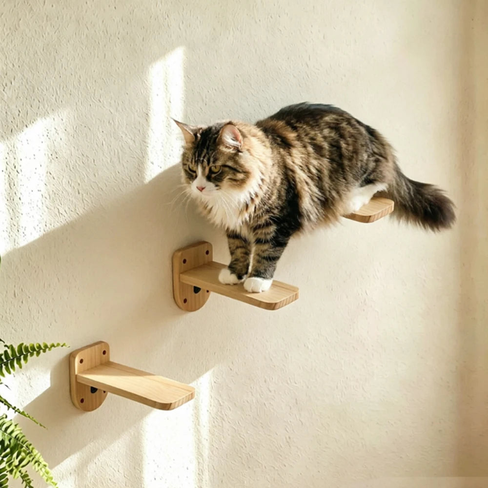 Chat tigré sur des marches murales en bois de pin fixées au mur