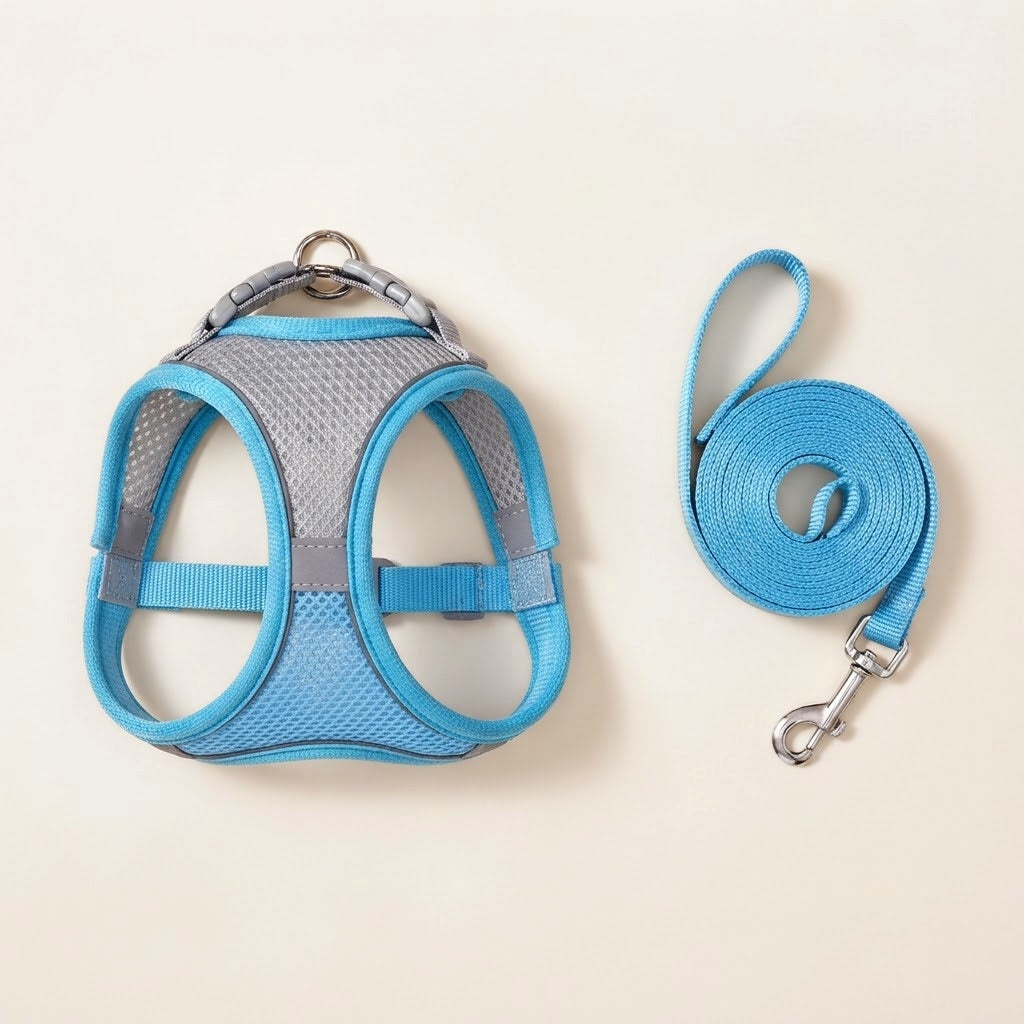 Harnais et laisse pour petit chien bleu et gris, maille respirante et bandes réfléchissantes