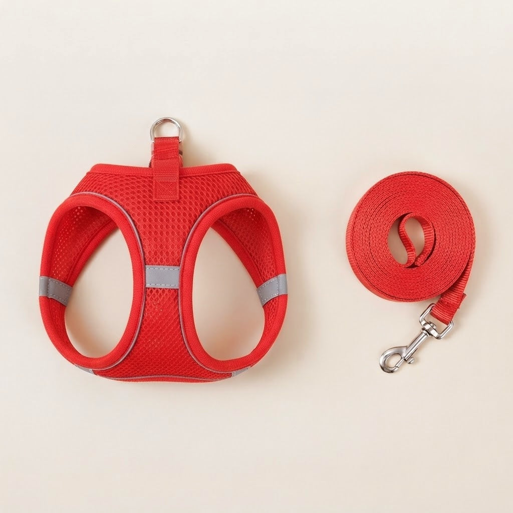 Harnais et laisse pour petit chien rouge, maille respirante et bandes réfléchissantes