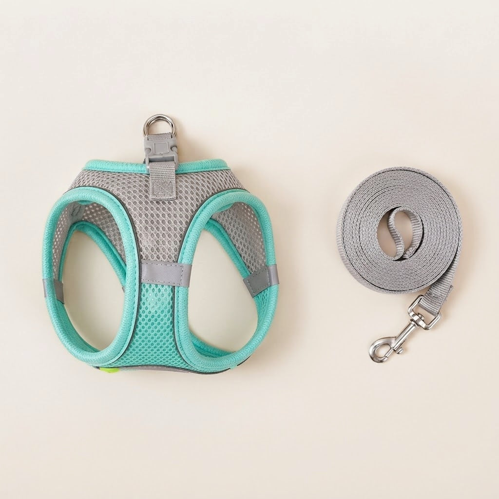 Harnais et laisse pour petit chien turquoise et gris, maille respirante et bandes réfléchissantes