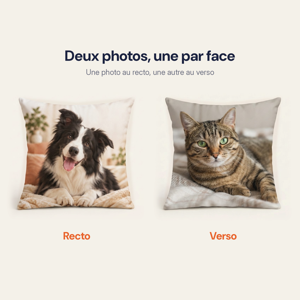 Housse de coussin deux photos : border collie au recto, chat tigré au verso