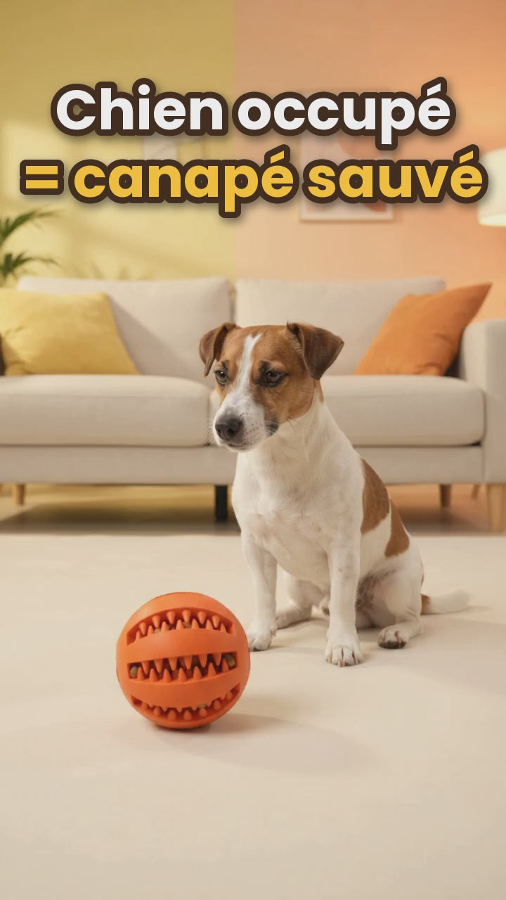 Balle distributrice de friandises pour chien
